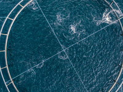 Seminar: Introduction to Quantum Sensing & Aquaculture 