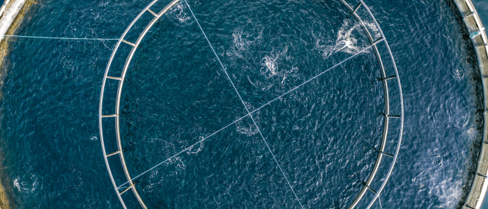 Seminar: Introduction to Quantum Sensing & Aquaculture 